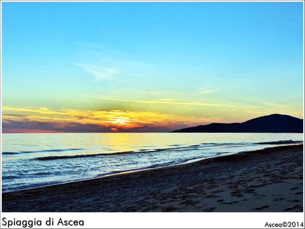 Il Mare Di Elea Daire Ascea Dış mekan fotoğraf